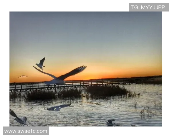 足球汪子程的成长之路与梦想追逐：从小球场到大舞台的奋斗故事